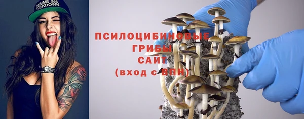 МДМА Богданович