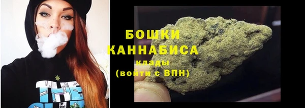 стаф Ладушкин