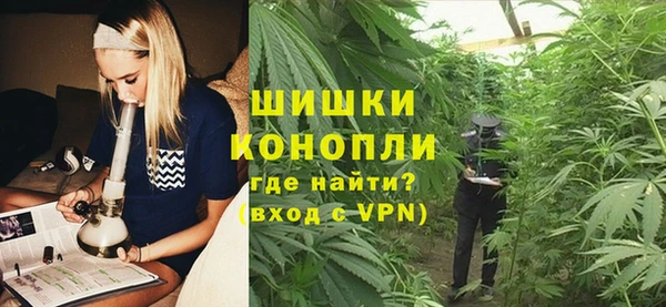стаф Ладушкин