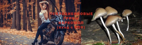 прущий лед Лабытнанги