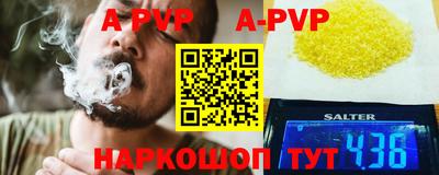 СК Волгодонск