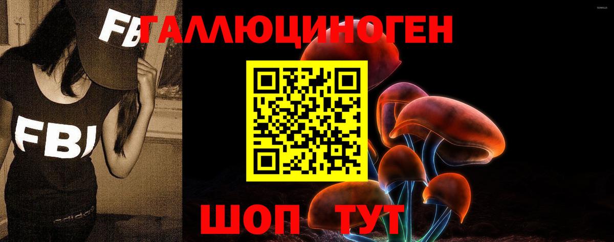 Псилоцибиновые грибы Psilocybine cubensis Георгиевск
